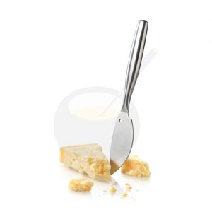 Parmesanmes De Luxe RVS