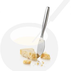 Parmesanmes De Luxe RVS