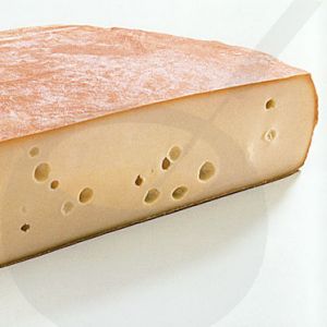 Raclette Kaas | Hele kaas +/- 7,5 kilo